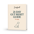 21-Day Gut Reset Guide eBook