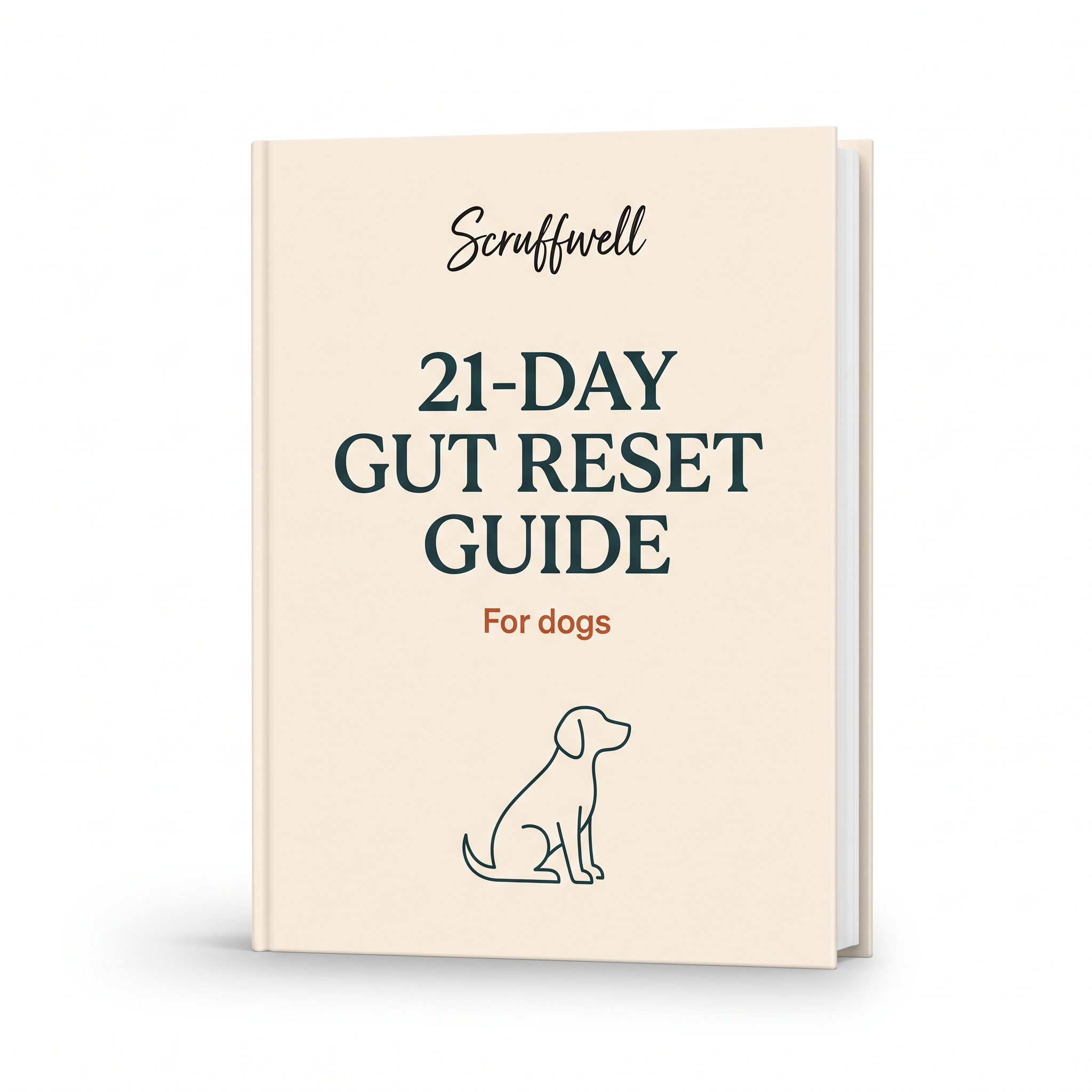 21-Day Gut Reset Guide eBook